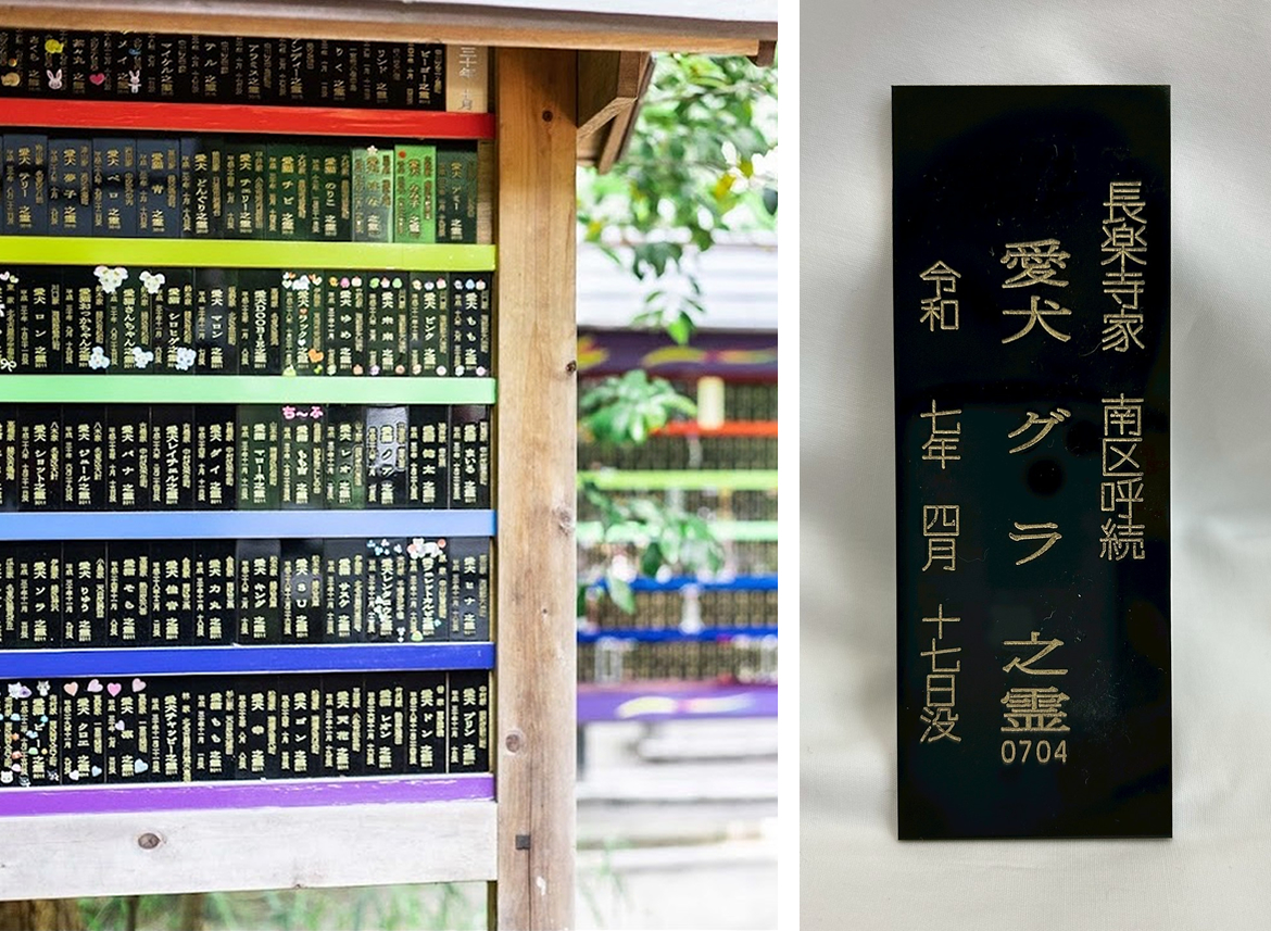 短牌
